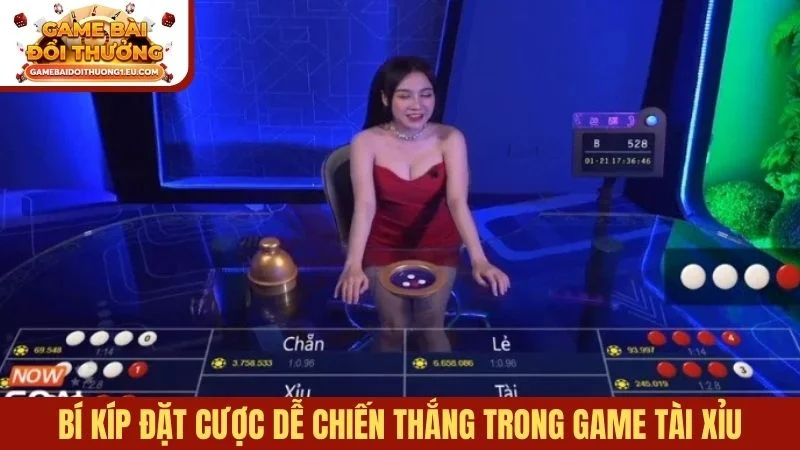 Bí kíp đặt cược dễ chiến thắng trong game Tài xỉu
