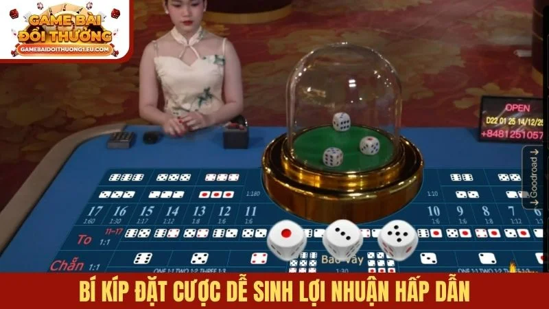 Bí kíp đặt cược dễ sinh lợi nhuận hấp dẫn