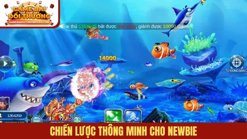Chiến lược thông minh cho newbie