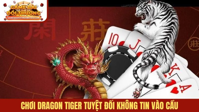 Chơi Dragon Tiger tuyệt đối không tin vào cầu