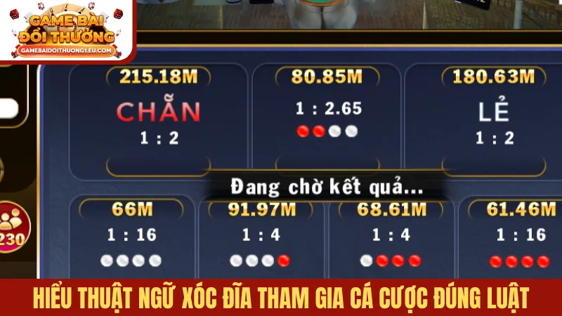 Hiểu thuật ngữ xóc đĩa tham gia cá cược đúng luật