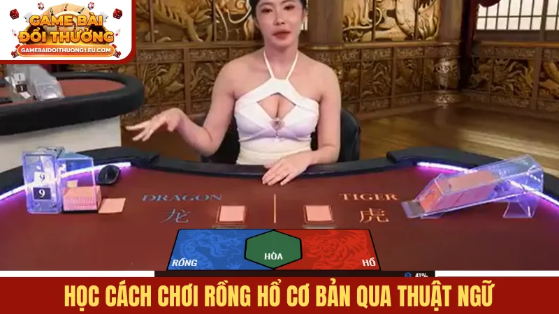 Học cách chơi Rồng hổ cơ bản qua thuật ngữ