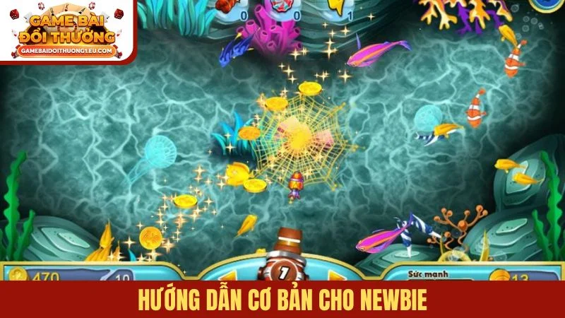 Hướng dẫn cơ bản cho newbie