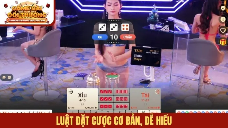 Luật đặt cược cơ bản, dễ hiểu