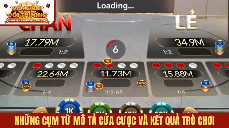 Những cụm từ mô tả cửa cược và kết quả trò chơi