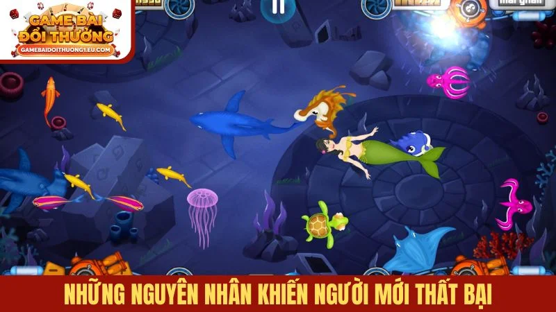 Những nguyên nhân khiến người mới thất bại