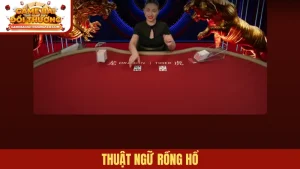 Thuật ngữ Rồng hổ