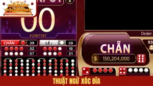 Thuật ngữ xóc đĩa